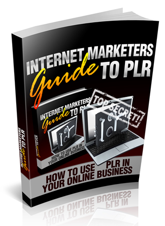 Internet Marketers Guide to PLR