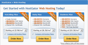 Web Hosting made EASY and AFFORDABLE!