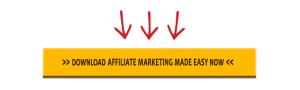 download this affiliate marketing training guide now