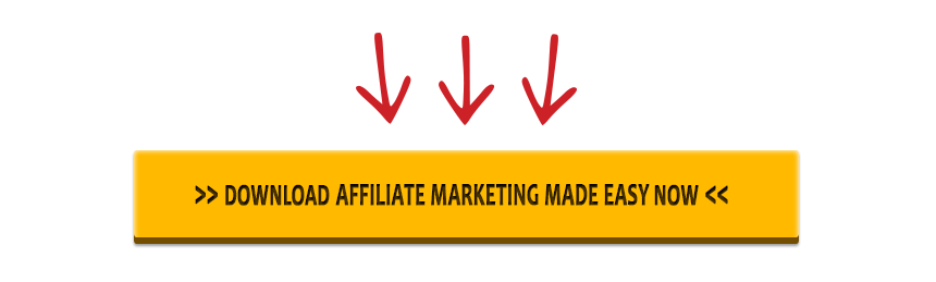 download this affiliate marketing training guide now