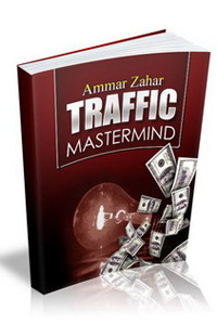 Traffic Mastermind