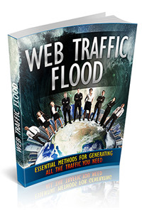 Web Traffic Flood