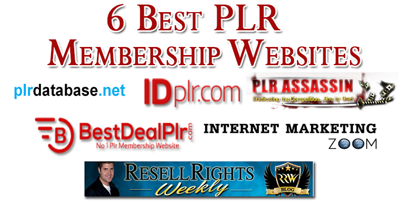 6 Best PLR Membership Websites