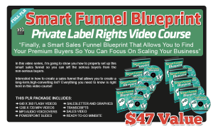Smart Funnel Blueprint PLR Videos