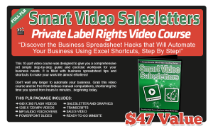 Smart Video Salesletters PLR Videos