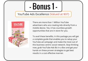 Best YouTube Ads PLR Bonus