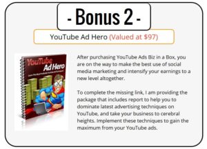 YouTube Ads PLR Bonus 2 - YouTube Ads Hero