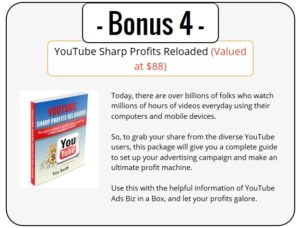 YouTube Ads PLR Bonus 4 - YouTube Sharp Profits Reloaded