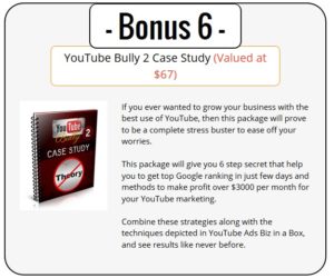 YouTube Ads PLR Bonus 6 - YouTube Bully 2 Case Study