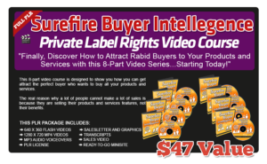 Pixel Studio FX 2.0 Bonus 21 - Surefire Buyer Intelligence PLR Video Course