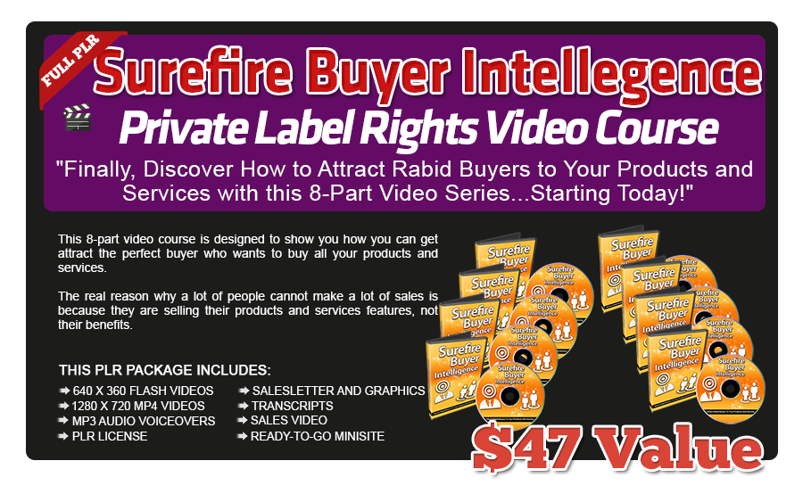 Pixel Studio FX 2.0 Bonus 21 - Surefire Buyer Intelligence PLR Video Course