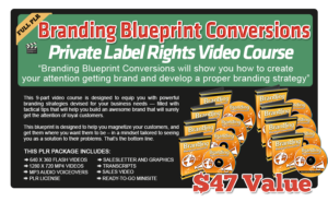 Pixel Studio FX 2.0 Bonus 23 - Branding Blueprint Conversions PLR Video Course