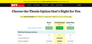 DIYthemes Thesis Professional Lifetime Plan