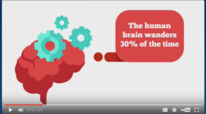 Animated Infographic Power Bundle Review