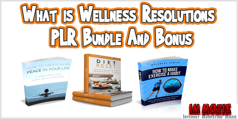 Wellness Resolutions PLR Bundle