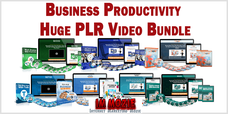 Business Productivity Huge PLR Video Bundle 1