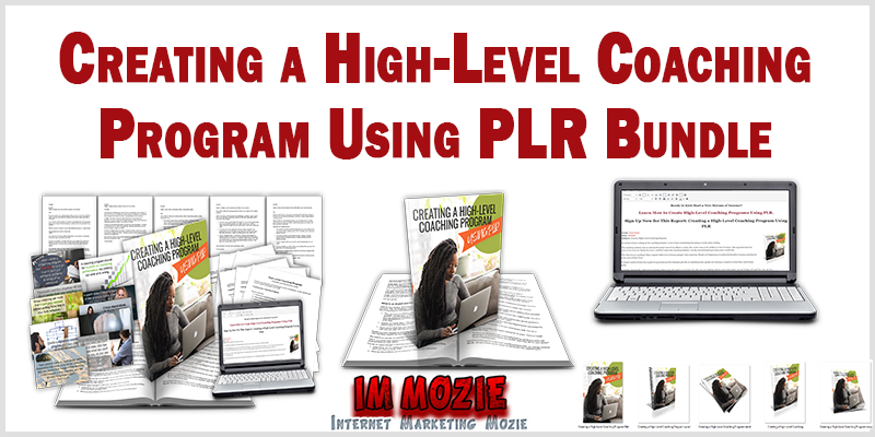 Creating a High Level Coaching Program Using PLR Bundle