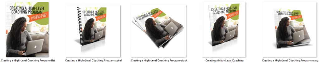 High Level Coaching Program Ecovers