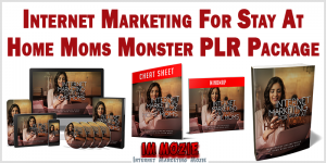 Internet Marketing For Stay At Home Moms Monster PLR Package