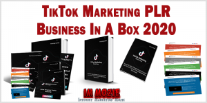 TikTok Marketing PLR Business In A Box 2020