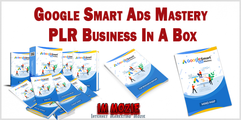 Google Smart Ads Mastery PLR Business In A Box