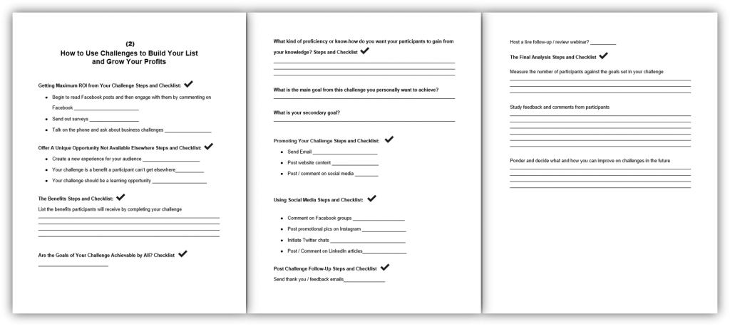 2 How to Use Challenges to Build Your List and Grow Your Profits Worksheet and Checklist