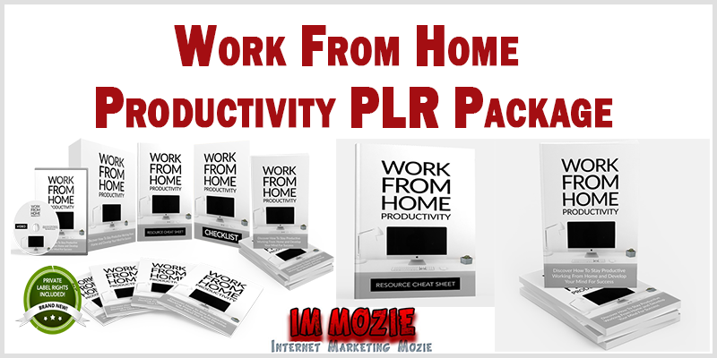 Work From Home Productivity PLR Package