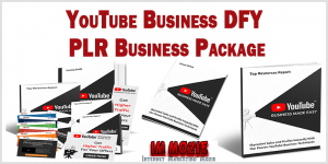 YouTube Business DFY PLR Business Package