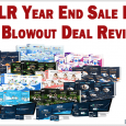 PLR Year End Sale PLR Blowout Deal Review