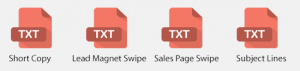 Solopreneur Success Promotional Email Swipes