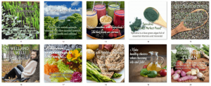 Dietary Health Different Types of Diets Clean Eating PLR Social Posters 2