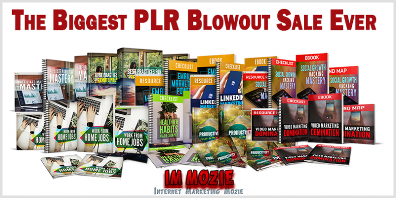 The Biggest PLR Blowout Sale Ever Review The Biggest PLR Blowout Sale Ever
