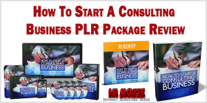 How To Start A Consulting Business Review