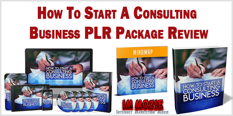 How To Start A Consulting Business PLR Package Review