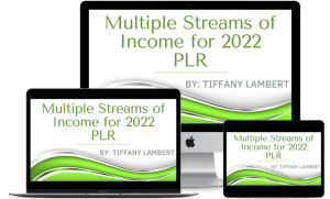 Multiple Streams of Income Bundle