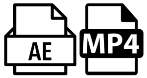 format1