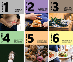 Bitter Truth About Obesity Chapter Graphics