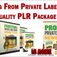 Profiting From Private Label Rights High Quality PLR Package Review