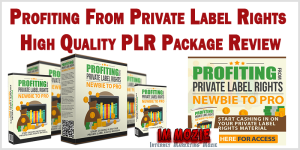 Profiting From Private Label Rights High Quality PLR Package Review