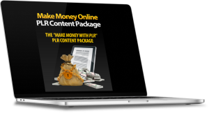 Make Money With PLR High Quality PLR Content Package