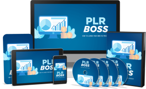 PLR Boss How to Launch a PLR Product Bundle