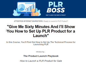 PLR Boss How to Launch a PLR Product Sales page