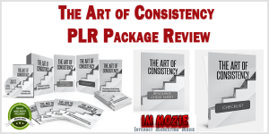 The Art of Consistency PLR Package Review