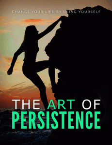 The Art of Persistence Training Guide